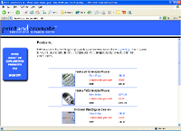 Screenshot of Print and Promote website